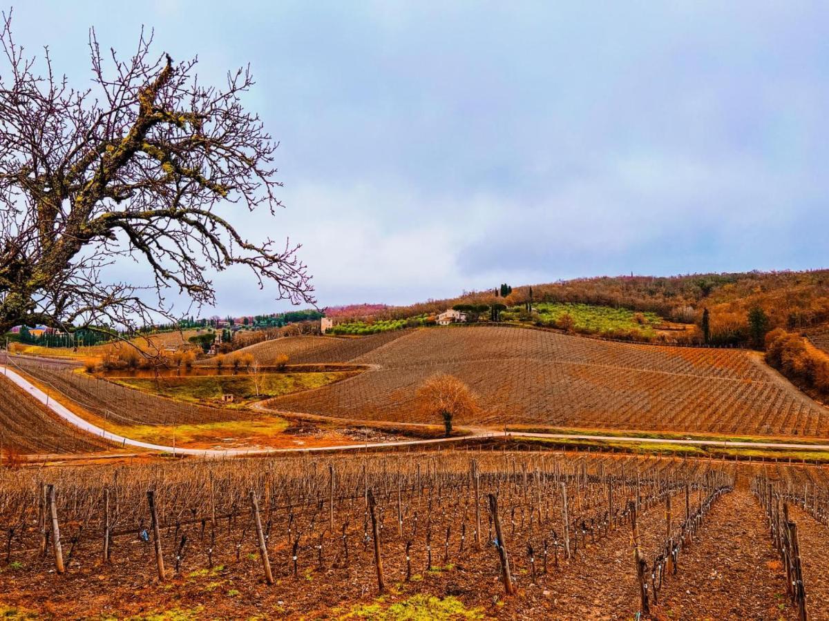 Locanda Podere Le Vigne Radda in Chianti Buitenkant foto
