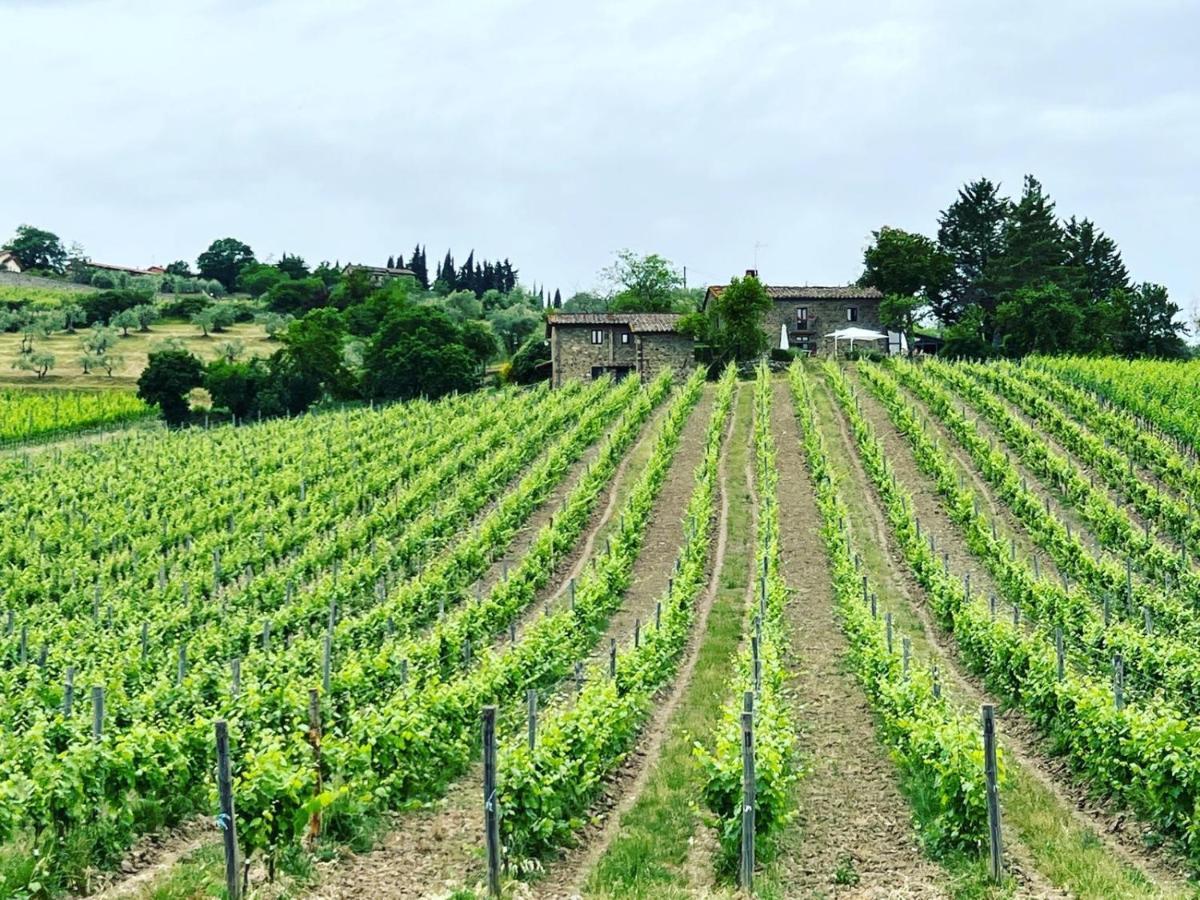 Locanda Podere Le Vigne Radda in Chianti Buitenkant foto