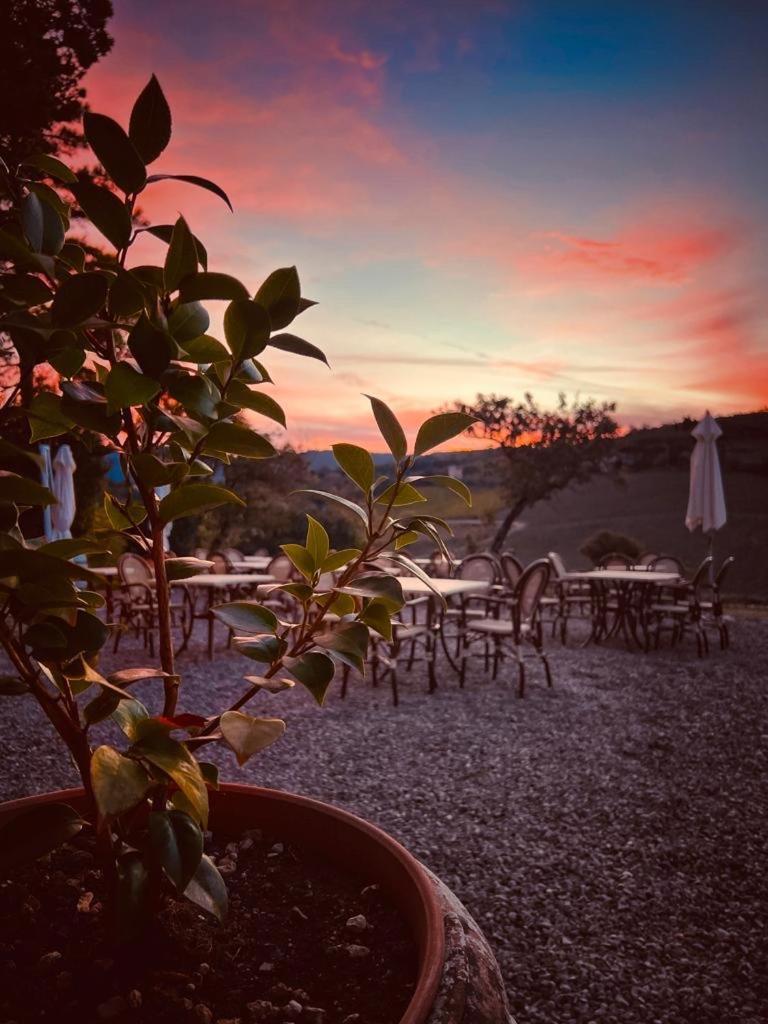 Locanda Podere Le Vigne Radda in Chianti Buitenkant foto